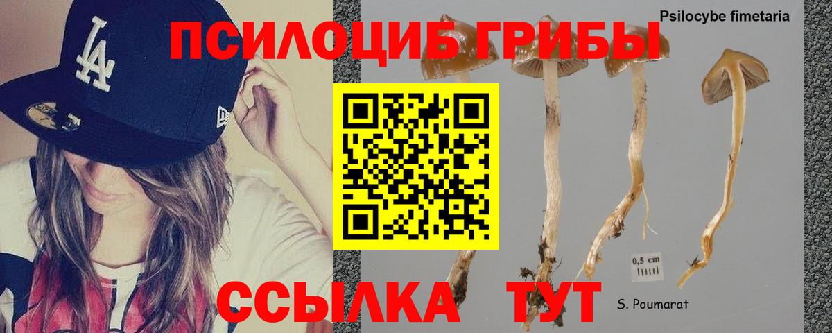 Галлюциногенные грибы мухоморы  Вход с VPN  Когалым 
