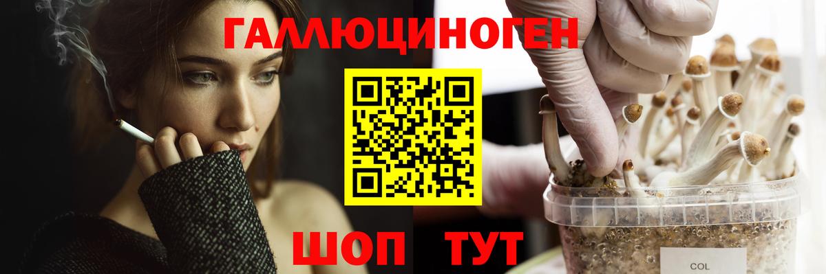 Псилоцибиновые грибы MAGIC MUSHROOMS Когалым